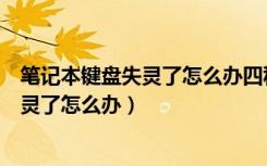 笔记本键盘失灵了怎么办四种方法教你解决（笔记本键盘失灵了怎么办）