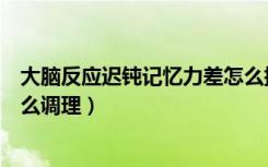 大脑反应迟钝记忆力差怎么提高（大脑反应迟钝记忆力差怎么调理）