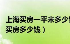 上海买房一平米多少钱（谁知道上海一室一厅买房多少钱）