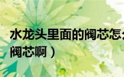 水龙头里面的阀芯怎么换（这种水龙头怎么换阀芯啊）