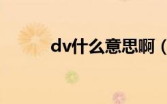 dv什么意思啊（dv什么牌子好）