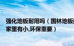 强化地板耐用吗（国林地板的强化地板耐磨吗环不环保因为家里有小,环保重要）