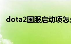 dota2国服启动项怎么设置（dota2大脚）