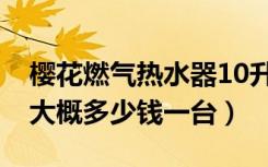 樱花燃气热水器10升（樱花12升燃气热水器大概多少钱一台）