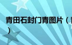 青田石封门青图片（青田石封门青价格是多少）