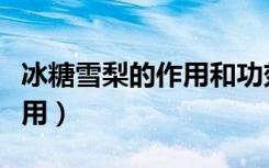 冰糖雪梨的作用和功效有哪些（冰糖雪梨的作用）