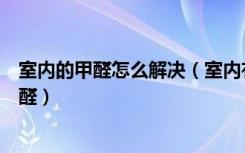 室内的甲醛怎么解决（室内有甲醛怎么办装修室内怎样除甲醛）