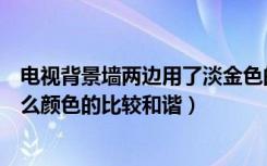 电视背景墙两边用了淡金色的镜面马赛克（中间的壁纸用什么颜色的比较和谐）