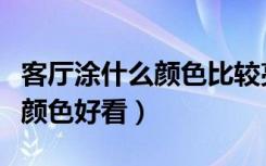 客厅涂什么颜色比较亮（谁来说说客厅涂什么颜色好看）