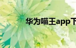 华为喵王app下载（华为喵王）