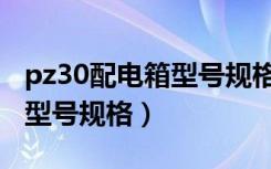 pz30配电箱型号规格尺寸图片（pz30配电箱型号规格）