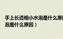 手上长透明小水泡是什么原因涂什么软膏（手上长透明小水泡是什么原因）