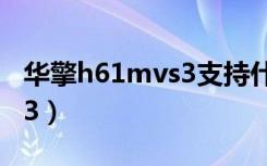 华擎h61mvs3支持什么cpu（华擎h61mu3s3）