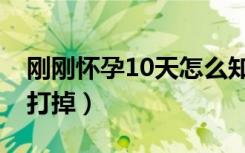 刚刚怀孕10天怎么知道（刚刚怀孕10天怎么打掉）