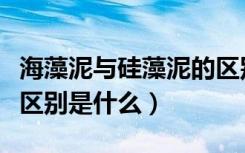 海藻泥与硅藻泥的区别是什么（硅藻泥海藻泥区别是什么）