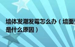 墙体发潮发霉怎么办（墙面受潮发霉怎么处理家居墙面发霉是什么原因）