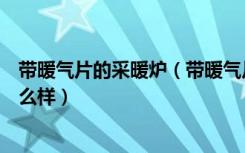 带暖气片的采暖炉（带暖气片家用煤炭煤火取暖炉子冬季怎么样）