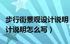 步行街景观设计说明（哪位知道商业街景观设计说明怎么写）