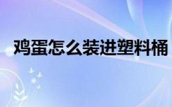 鸡蛋怎么装进塑料桶（鸡蛋怎么装饰漂亮）