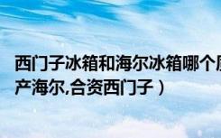 西门子冰箱和海尔冰箱哪个质量好（冰箱那个品牌的好点,国产海尔,合资西门子）