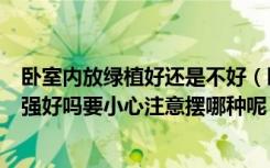 卧室内放绿植好还是不好（卧室感觉缺点啥可以放植物来加强好吗要小心注意摆哪种呢）