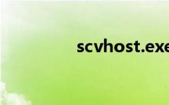 scvhost.exe（scvhost）