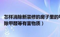 怎样消除新装修的房子里的甲醛（重新装修房子,怎样尽快消除甲醛等有害物质）