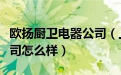 欧扬厨卫电器公司（上海欧王厨卫电器有限公司怎么样）