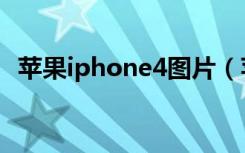 苹果iphone4图片（苹果iphone4多少钱）