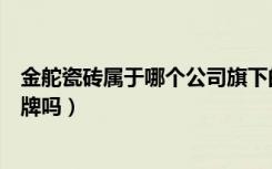 金舵瓷砖属于哪个公司旗下的品牌（金舵陶瓷是瓷砖十大品牌吗）