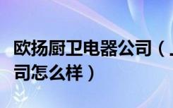 欧扬厨卫电器公司（上海欧王厨卫电器有限公司怎么样）