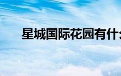 星城国际花园有什么户型（价格多少）