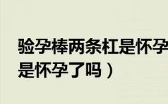 验孕棒两条杠是怀孕了?（验孕棒上有两条杠是怀孕了吗）