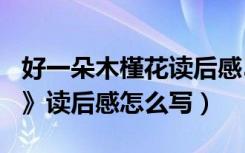 好一朵木槿花读后感500字（《好一朵木槿花》读后感怎么写）