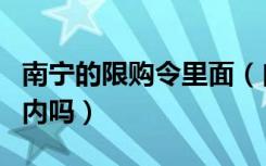 南宁的限购令里面（自建房和别墅在限购范围内吗）