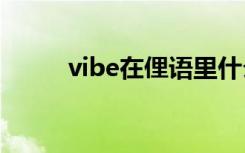 vibe在俚语里什么意思（vibe z）