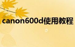 canon600d使用教程（canon600d说明书）