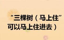 “三棵树（马上住” 用三棵树涂料刷墙真的可以马上住进去）