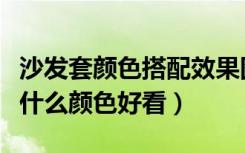 沙发套颜色搭配效果图玫红配（玫红色沙发搭什么颜色好看）