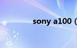 sony a100（sony a100）