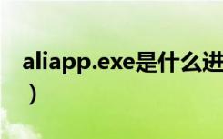 aliapp.exe是什么进程（alg exe是什么进程）