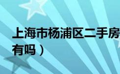 上海市杨浦区二手房2室一厅房子（便宜点的有吗）