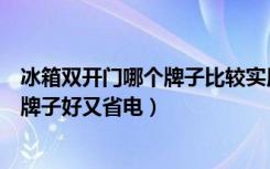 冰箱双开门哪个牌子比较实用（请教下大家双开门冰箱什么牌子好又省电）