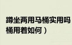 蹲坐两用马桶实用吗（请给说下蹲坐两用式马桶用着如何）