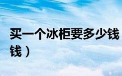 买一个冰柜要多少钱（两门冰柜购买需要多少钱）