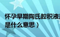 怀孕早期陶氏腔积液是什么意思（陶氏腔积液是什么意思）