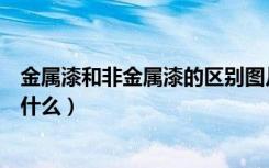 金属漆和非金属漆的区别图片（金属漆和非金属漆的区别是什么）