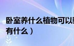 卧室养什么植物可以驱蚊（卧室内驱蚊植物都有什么）