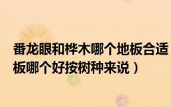 番龙眼和桦木哪个地板合适（蒲桃实木地板和番龙眼实木地板哪个好按树种来说）