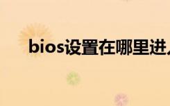 bios设置在哪里进入（bios设置在哪）